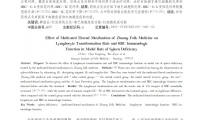 壮医药线点灸对脾虚大鼠淋巴细胞 转化率及红细胞免疫功能的影响