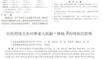 壮医药线点灸对脾虚大鼠脑－肠轴 β-内啡肽的影响